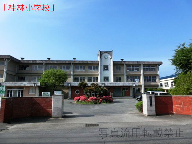 桂林小学校まで150m (徒歩2分) 桂林小学校 写真21