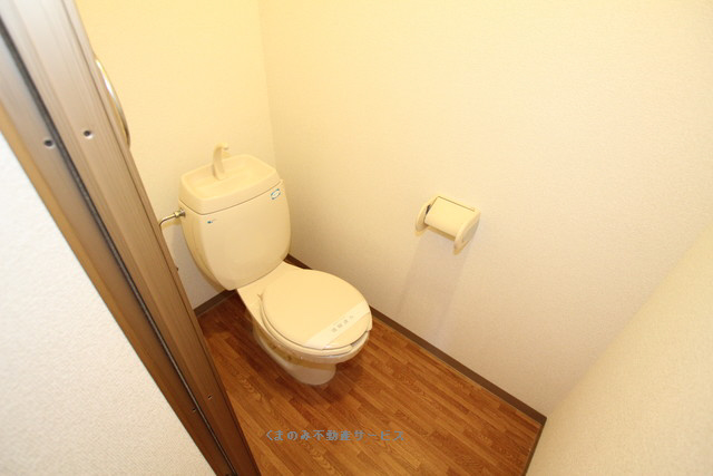 トイレ サンヒルズ高瀬 202号室 2013/5/26撮影 写真6