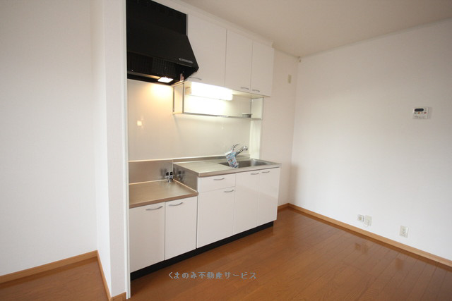 キッチン パルフェ三隈B棟 201号室 平成22年7月2日 写真3