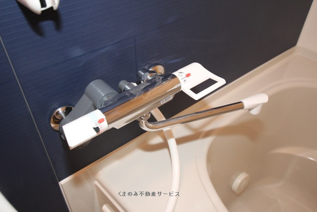 バス 303号室 2013年3月17日撮影 写真15