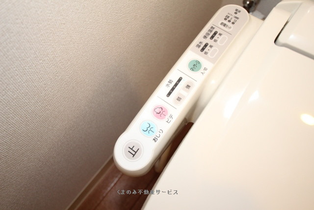 トイレ 303号室 2013年3月17日撮影 写真31