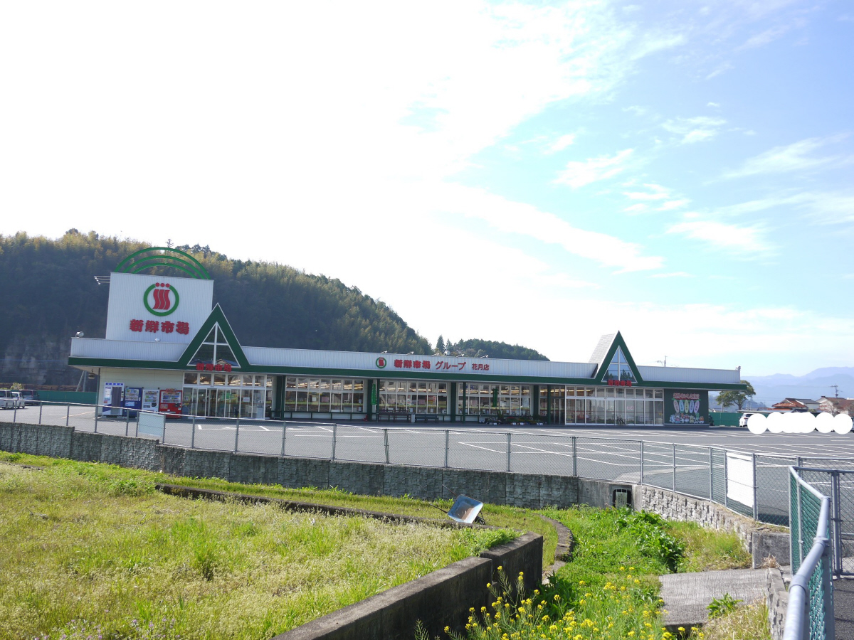 新鮮市場まで875m (徒歩11分) 新鮮市場 写真26