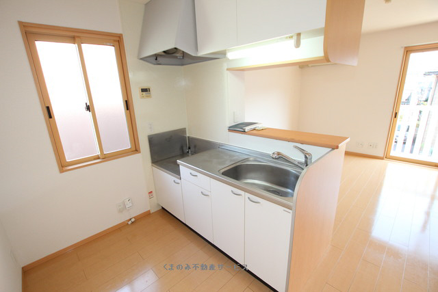 キッチン トマトヒルズA棟 201号室 2025年4月11日 写真4