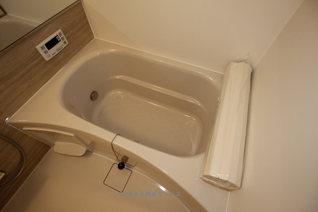 バス カタルパトモダ 207号室 2018/11/11撮影 写真15