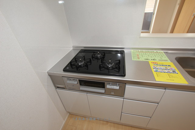 キッチン ラ・カーザドルチェ3 203号室 2019年3月28日撮影 写真31