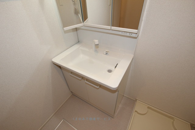 洗面所 ラ・カーザドルチェ3 203号室 2019年3月28日撮影 写真34