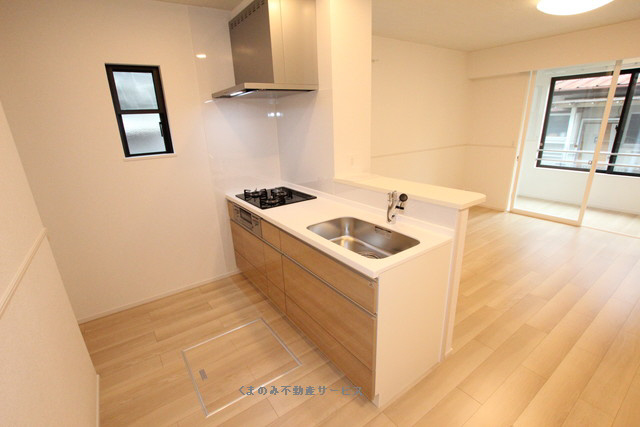 キッチン ソレイアード大原101号室 2024/11/11撮影 写真3