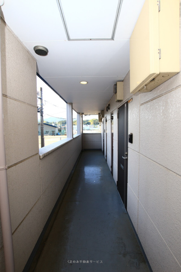 エントランス ハイム行村 202号室 2026/5/9撮影 写真16