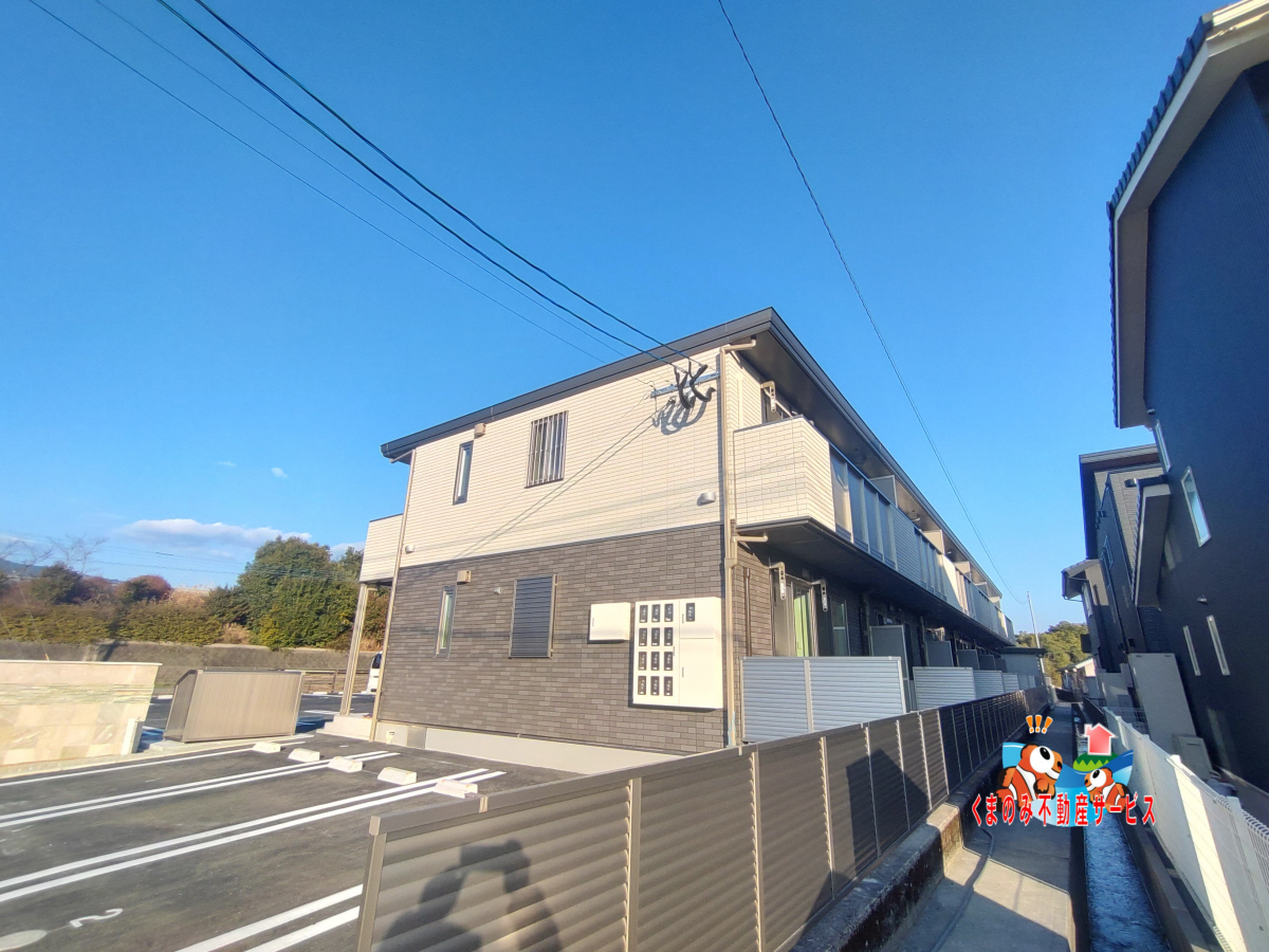 ゼフィランサス